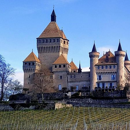 Guest House La Sereine Romanel-sur-Morges Exterior photo
